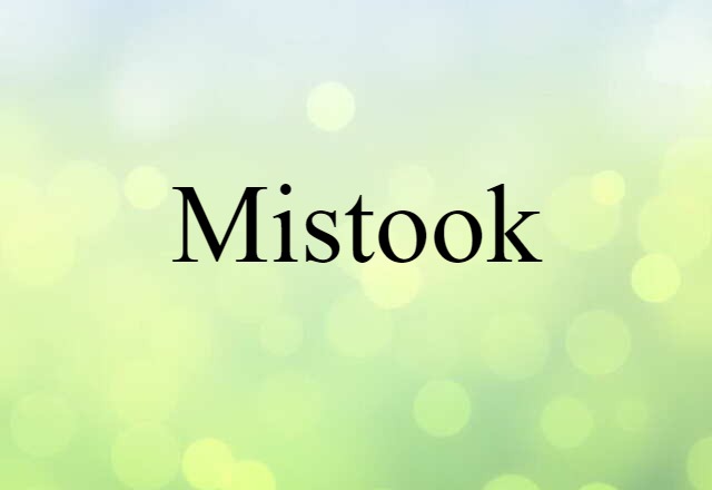 Mistook (noun) Definition, Meaning & Examples