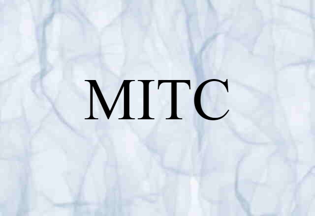 MITC (noun) Definition, Meaning & Examples