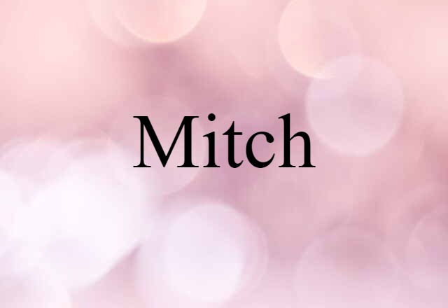 Mitch (noun) Definition, Meaning & Examples