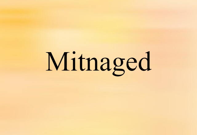 Mitnaged