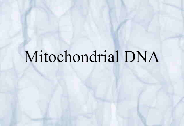 mitochondrial DNA