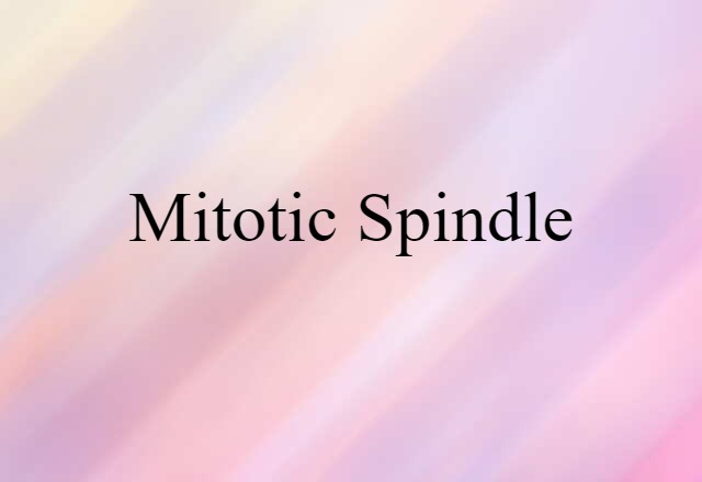 mitotic spindle