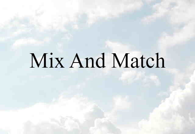 Mix-and-match (noun) Definition, Meaning & Examples