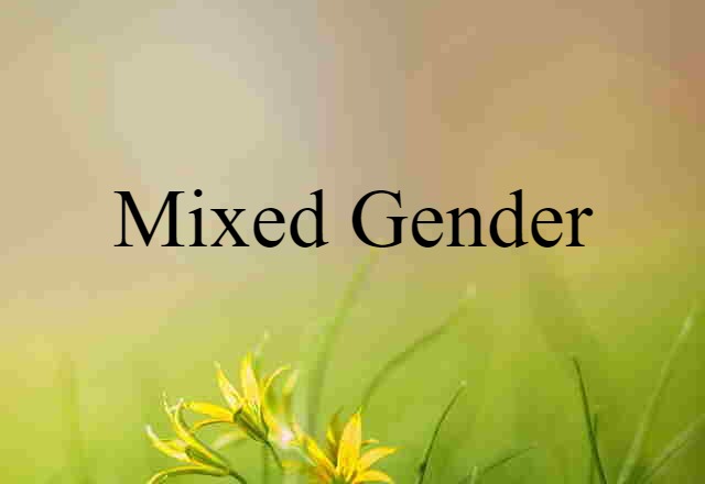 Mixed Gender (noun) Definition, Meaning & Examples