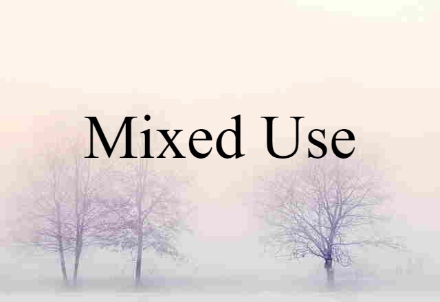 Mixed-use (noun) Definition, Meaning & Examples