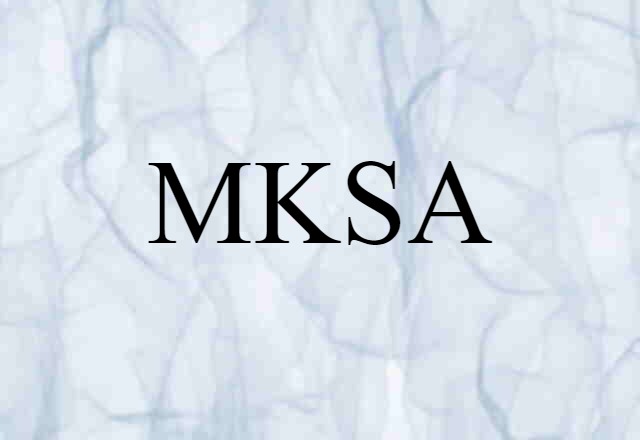 MKSA (noun) Definition, Meaning & Examples