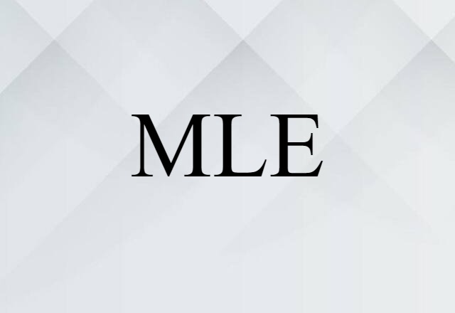 MLE (noun) Definition, Meaning & Examples