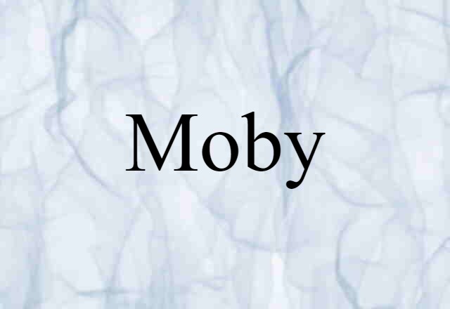 Moby (noun) Definition, Meaning & Examples