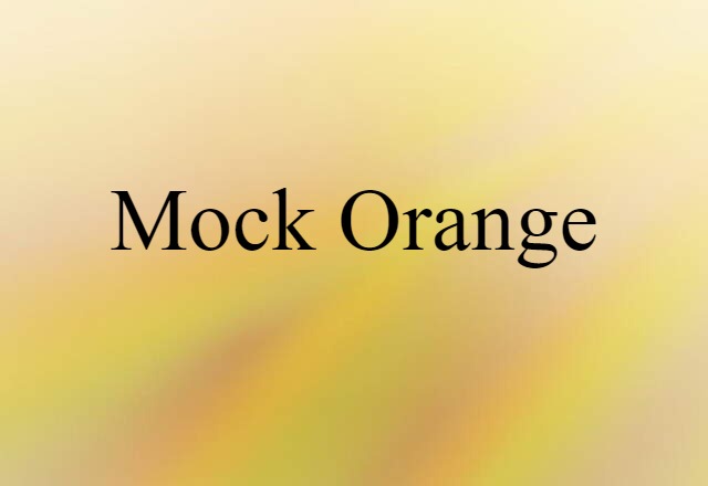 Mock Orange (noun) Definition, Meaning & Examples