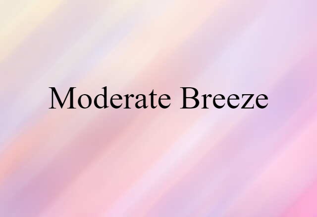 Moderate Breeze (noun) Definition, Meaning & Examples