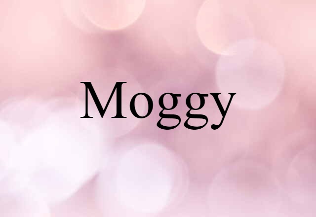 Moggy (noun) Definition, Meaning & Examples