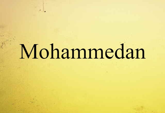 Mohammedan (noun) Definition, Meaning & Examples