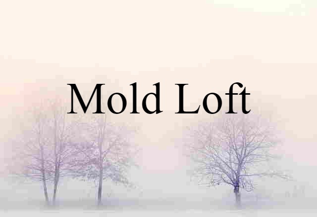 Mold Loft (noun) Definition, Meaning & Examples