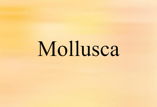 Mollusca