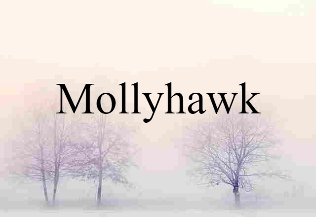 Mollyhawk (noun) Definition, Meaning & Examples