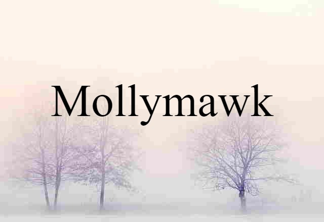 mollymawk