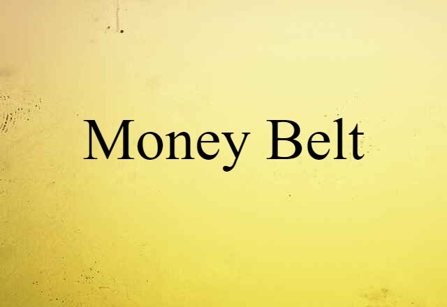 money belt