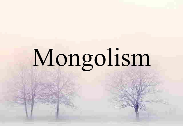 Mongolism (noun) Definition, Meaning & Examples