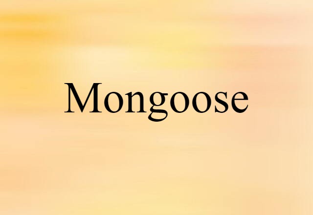 Mongoose (noun) Definition, Meaning & Examples