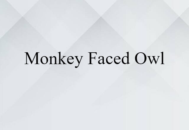 Monkey-faced Owl (noun) Definition, Meaning & Examples