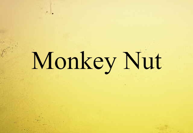 monkey nut