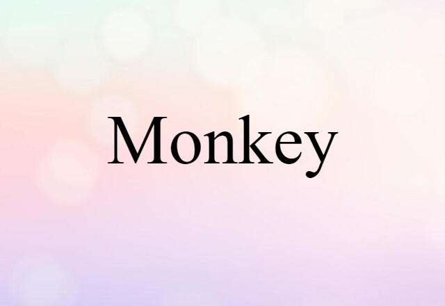 monkey