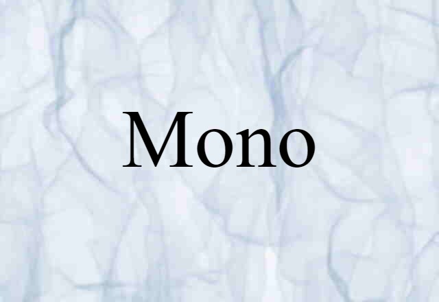 Mono (noun) Definition, Meaning & Examples