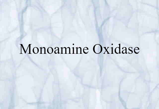 Monoamine Oxidase (noun) Definition, Meaning & Examples