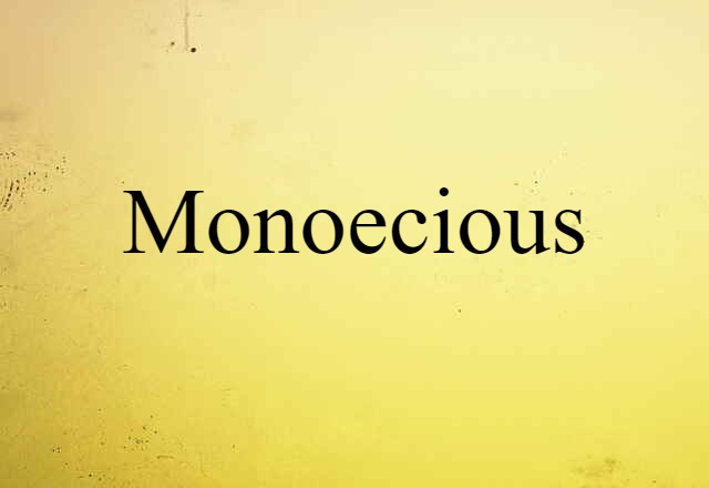 Monoecious (noun) Definition, Meaning & Examples