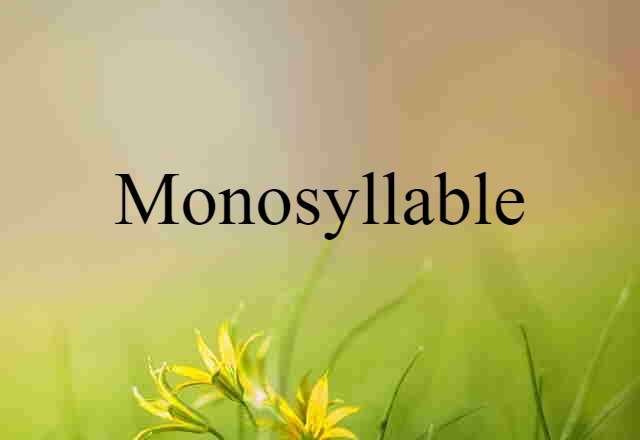 monosyllable