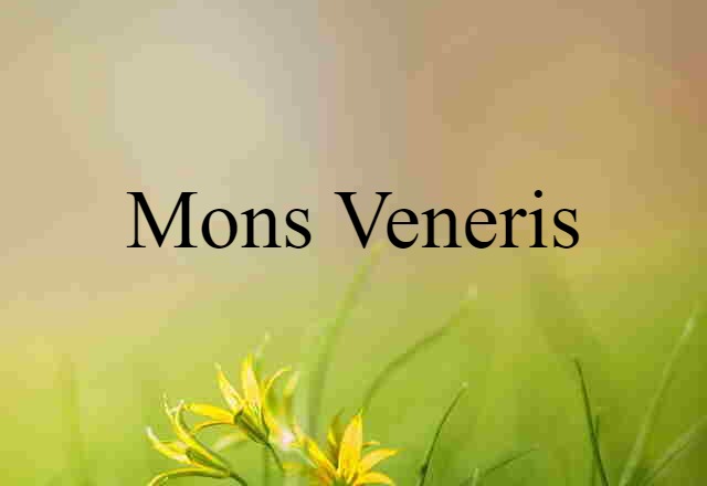 mons veneris