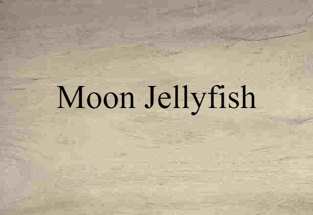 moon jellyfish