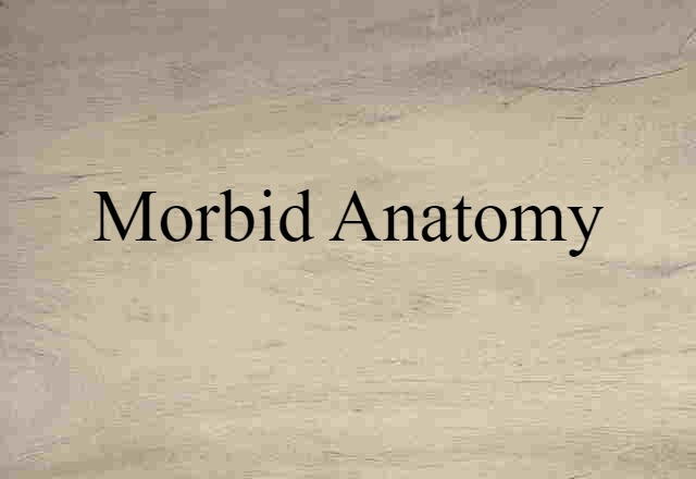 Morbid Anatomy (noun) Definition, Meaning & Examples