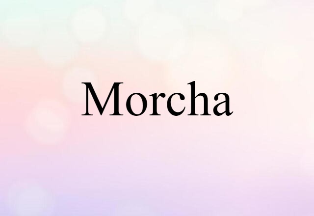 Morcha (noun) Definition, Meaning & Examples