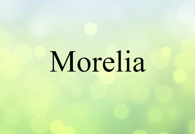 Morelia (noun) Definition, Meaning & Examples