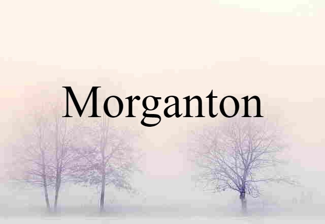 Morganton (noun) Definition, Meaning & Examples