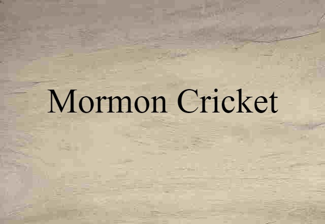 Mormon cricket