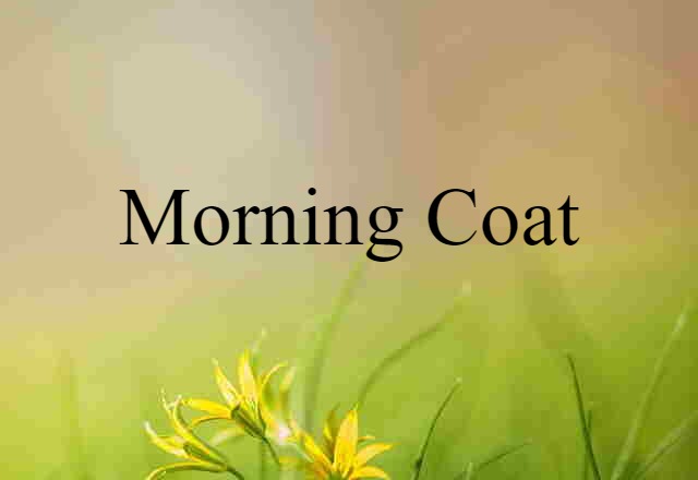 Morning Coat (noun) Definition, Meaning & Examples