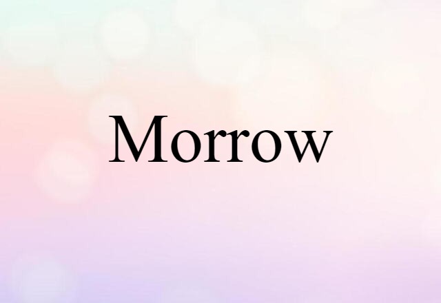 Morrow (noun) Definition, Meaning & Examples