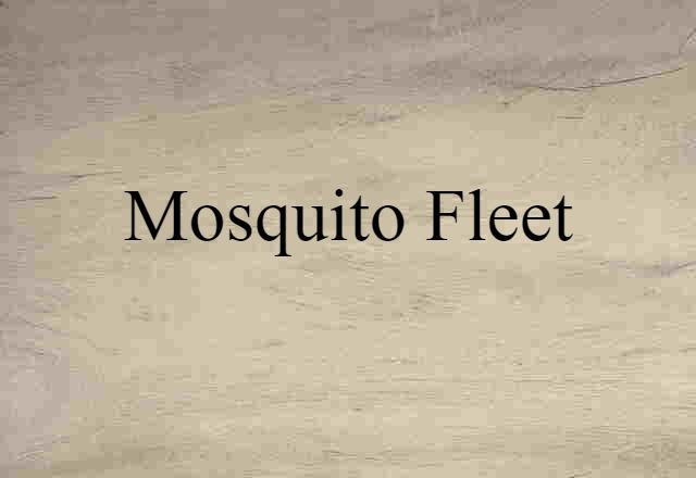 mosquito fleet