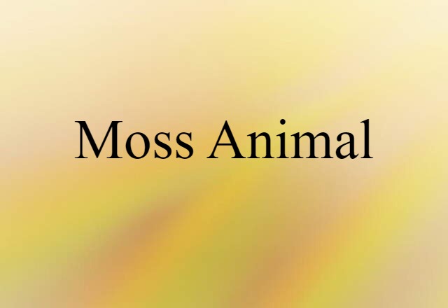 moss animal