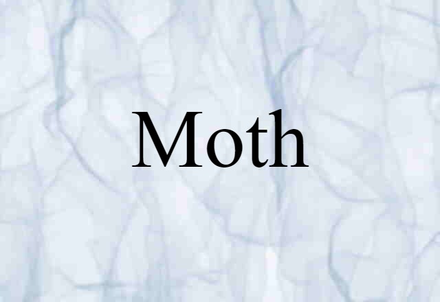 moth