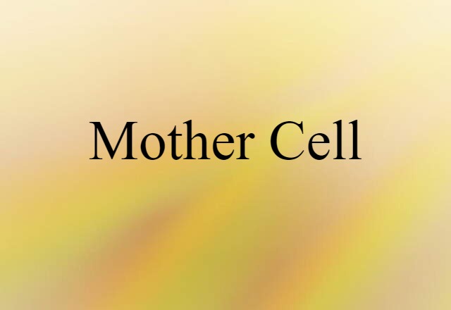 mother cell