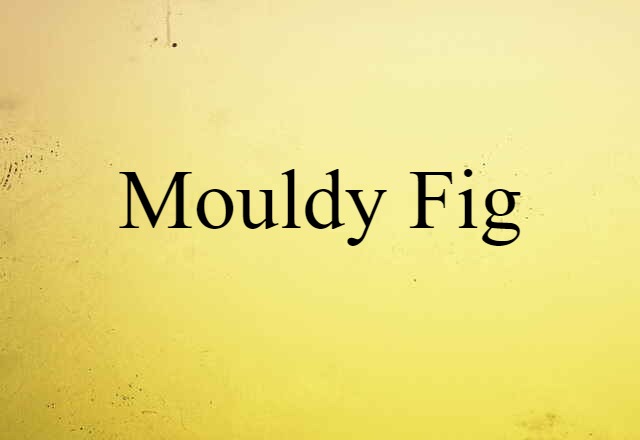 Mouldy Fig (noun) Definition, Meaning & Examples