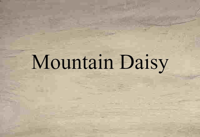 mountain daisy