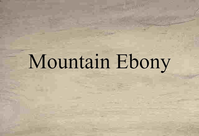 mountain ebony