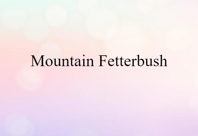 mountain fetterbush