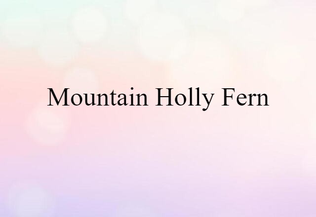 Mountain Holly Fern (noun) Definition, Meaning & Examples