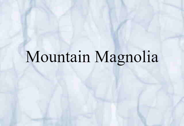 Mountain Magnolia (noun) Definition, Meaning & Examples