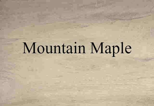 mountain maple